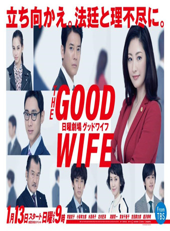 THE GOOD WIFE/傲骨贤妻日版