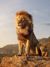 狮子王国第2季
