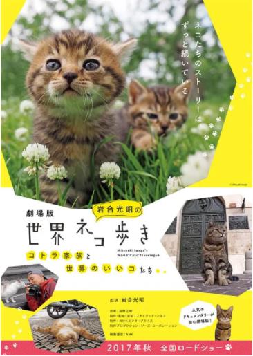 岩合光昭的猫步走世界 蒙古篇