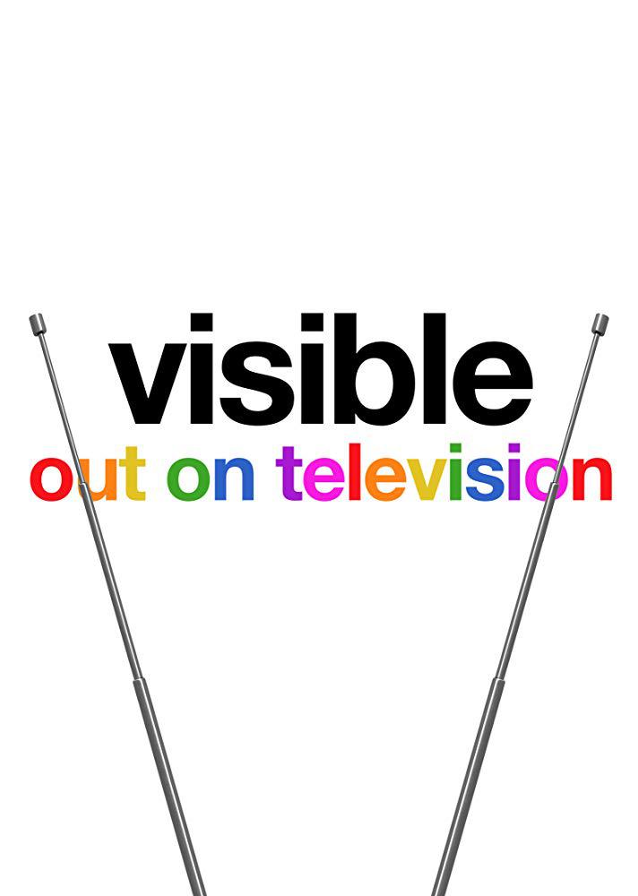 Visible: Out on Television/从暗到明：电视与彩虹史