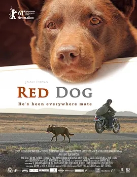 说电影《红犬历险记》