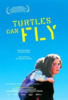 说电影《乌龟也会飞》